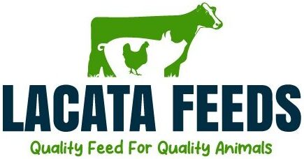 Lacata Investment